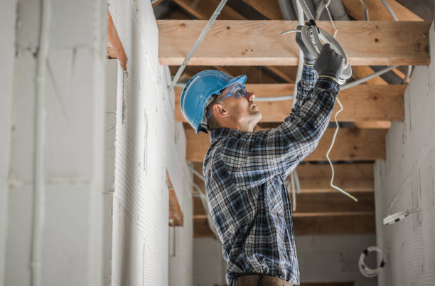 Best Generator Installation Services  in Springfield, NE